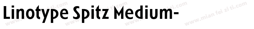 Linotype Spitz Medium字体转换